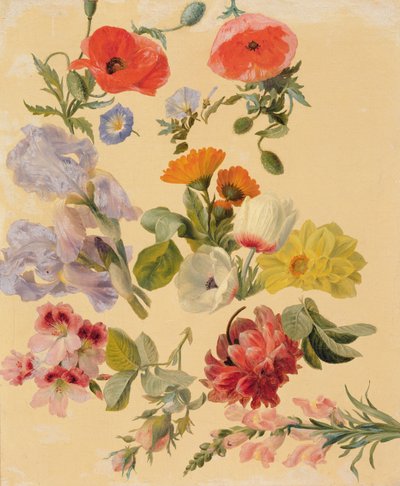 Études de fleurs d